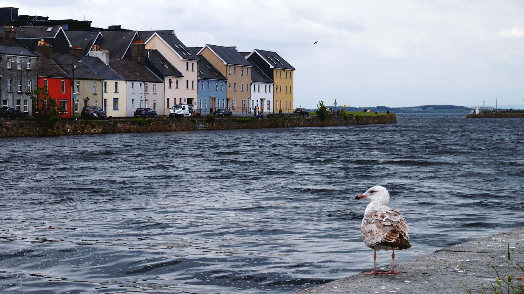 Colourful Galway waterfront under an overcast sky